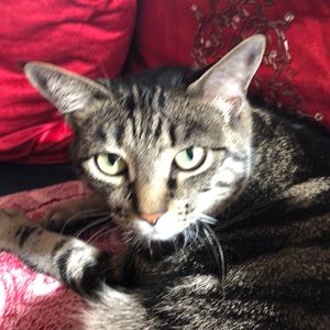 Meet your Posher, Cristina